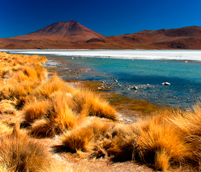 Altopiano Boliviano Altopiano Boliviano